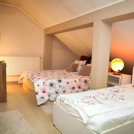 Gasthuis Pensiunea Giovani 3*